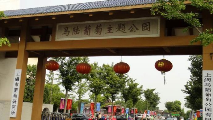 马陆葡萄主题公园