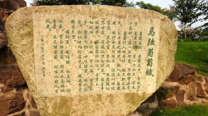 马陆葡萄主题公园