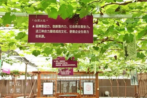 马陆葡萄主题公园