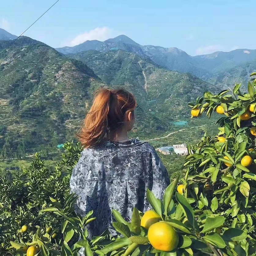 岩鱼头蜜桔官网