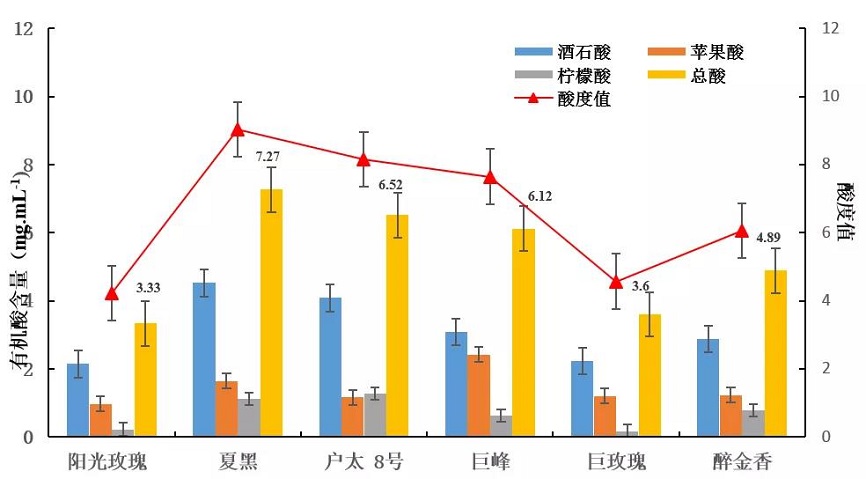 晴王葡萄怎么這么甜