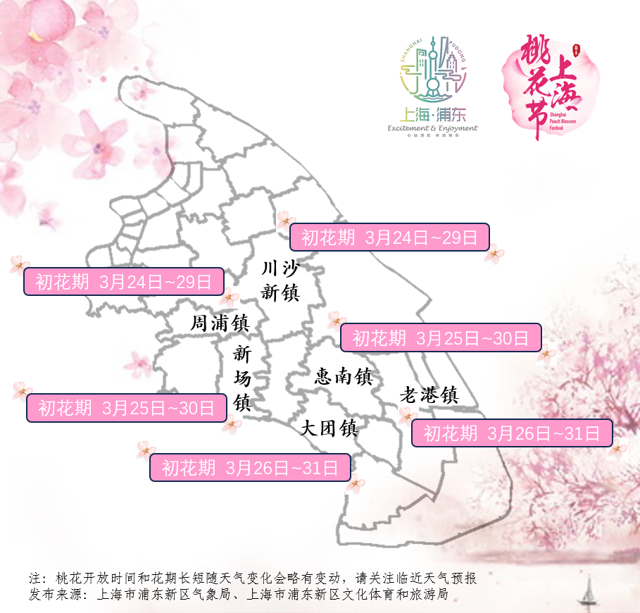 2024上海桃花节在即，初花期预报来了